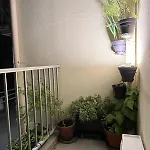 Vue Mer, Balcon, 50m & Village, Au Calme - Centre Historique, 2p Pour 4 Maximum Apartman