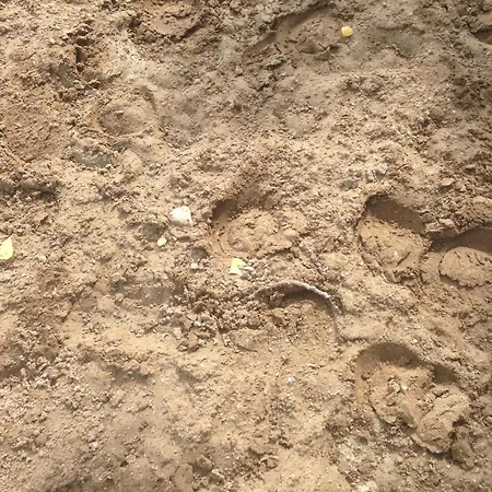 Vue Mer, Balcon, 50m & Village, Au Calme - Centre Historique, 2p Pour 4 Maximum Apartmán *