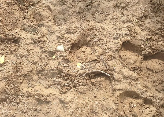 Vue Mer, Balcon, 50m & Village, Au Calme - Centre Historique, 2p Pour 4 Maximum Appartamento *